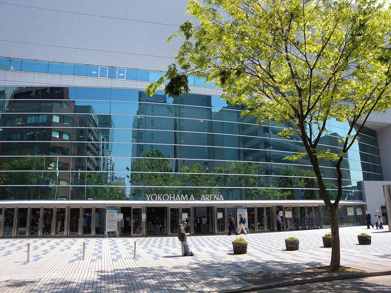 乒乓球人物:一位顶尖选手的进阶之路